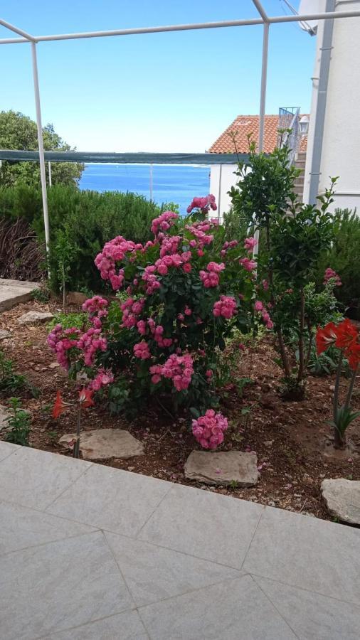 Apartment Ante Ražanj Dış mekan fotoğraf